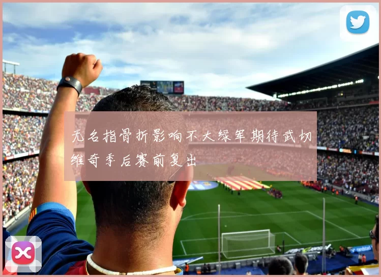 无名指骨折影响不大绿军期待武切维奇季后赛前复出